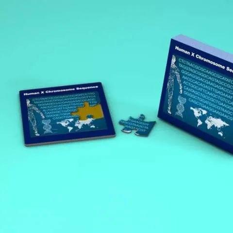 《丝之歌》全面崩溃！Xbox、NS全阵亡，独家揭秘游戏新纪元