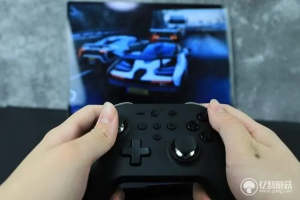 《羊蹄山之魂》独家手柄：尊享版超值体验，价格突破千元！