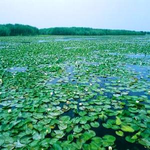 《逆水寒手游》沙海蜃楼快速通关秘籍，轻松解锁隐藏宝藏攻略