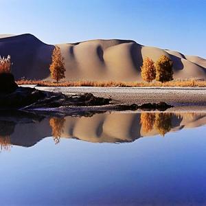 《逆水寒手游》沙海蜃楼快速通关秘籍，轻松解锁隐藏宝藏攻略