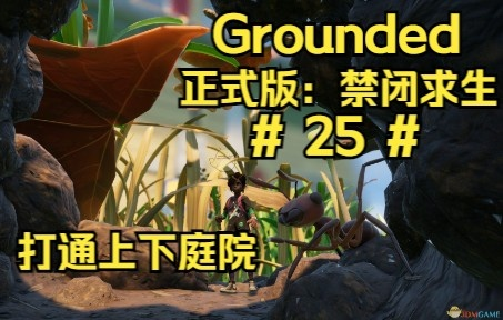 禁闭求生2B光盘芯片配方攻略：轻松获取独家配方技巧揭秘