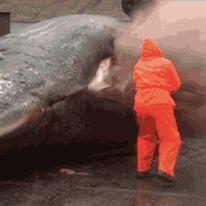 《死亡搁浅2》订单No.122攻略：揭秘幽灵机甲送工程师高效秘籍