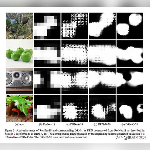 《空洞骑士：丝之歌》开发商揭秘：高成本打造，定价背后真相曝光