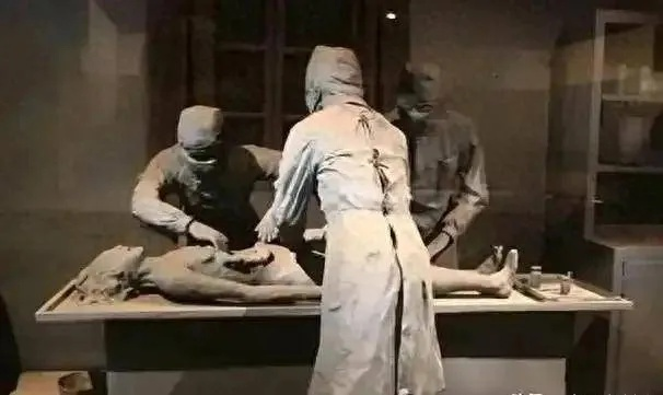 撕碎沉默，揭秘《731》真相，探寻历史真相之旅