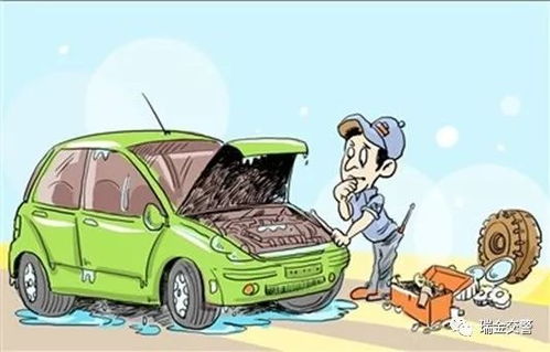 偷车贼光顾，4轱辘全被劫！车主庆幸：我的廉价车幸免于难