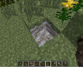 《我的世界》黏土球获取攻略：揭秘高效采集技巧，轻松升级！