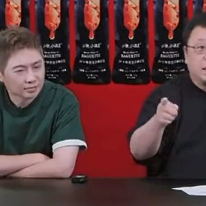 罗永浩犀利点评“灵动岛”：手机界独特创新之作惊艳亮相