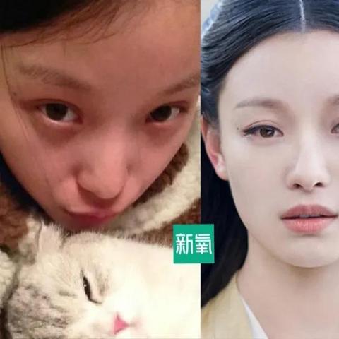 《空洞骑士：丝之歌》颠覆体验！打破常规，探索全新游戏乐趣