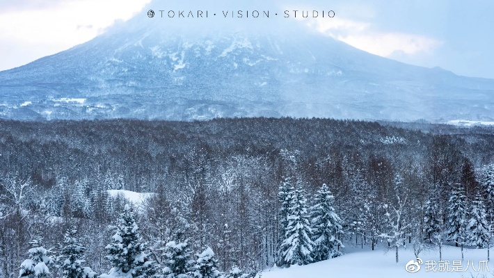 《羊蹄山之魂》边境风光探秘：沉浸式体验日本绝美风光
