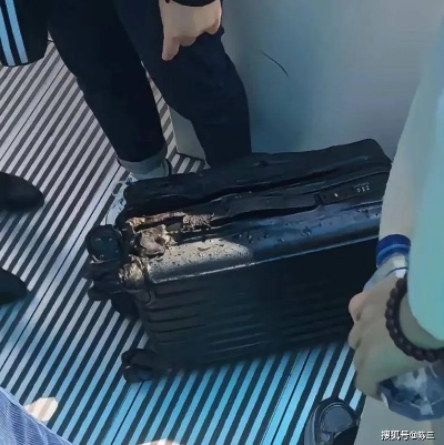 女子炫机舱点火视频曝光，官方通报揭秘背后真相