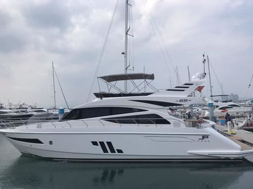 超万人围观！游艇动力升级直降397万，30万起拍抢购热潮