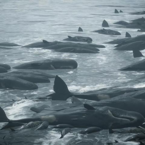 《死亡搁浅2》第15节攻略：冥滩No.48通关秘籍，高效流程解析！