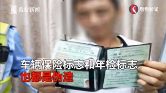 千元假证风波：广西司机无证驾驶遭重罚揭秘