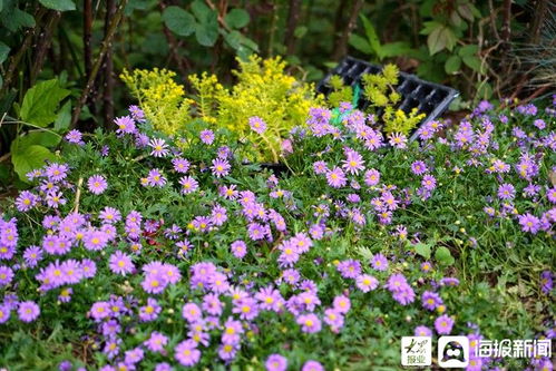 漠河供暖提前16天！超长供暖季来袭，温暖升级！