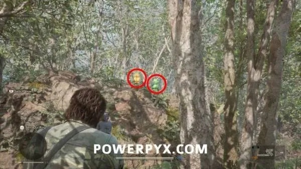 合金装备3重制版乔鲁纳亚毗契拉小黄鸭隐藏位置解析，轻松找到攻略技巧