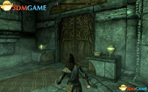 合金装备3重制版古洛兹尼格拉德寻鸭攻略：揭秘小黄鸭隐藏位置技巧