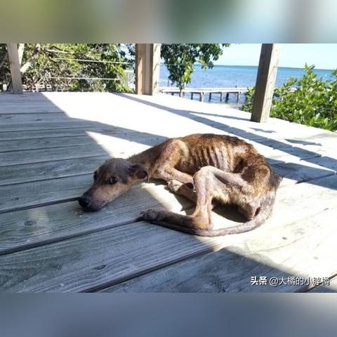 《P.T.》风格游戏揭秘：小岛未涉足领域，我欲探索新境界