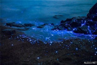 日本末世奇观！地狱之门开启，夏冬两季交替，40℃高温成常态