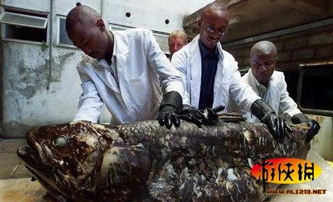 《寂静岭f》惊现奇观：海鲜巨肉瘤惊悚揭秘！