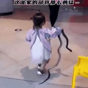 《丝之歌》大黄蜂与小骑士纹身，探寻独特游戏文化魅力