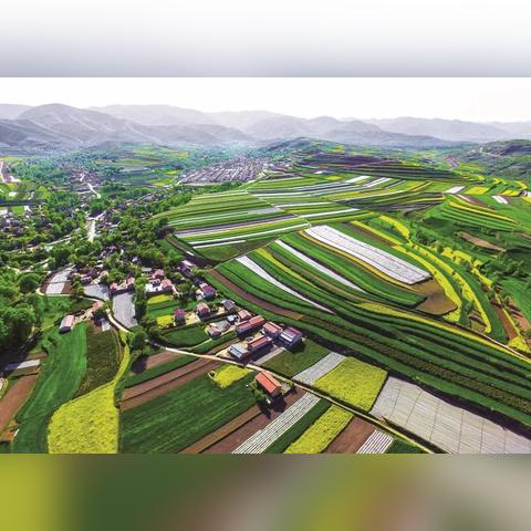 《山河在》厂商谈实机：揭秘短板，邀大佬助力优化升级