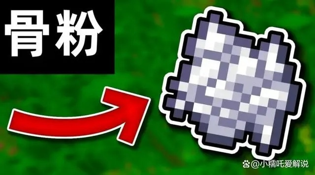 骨粉获取攻略：多用途解析，打造高效Minecraft之旅