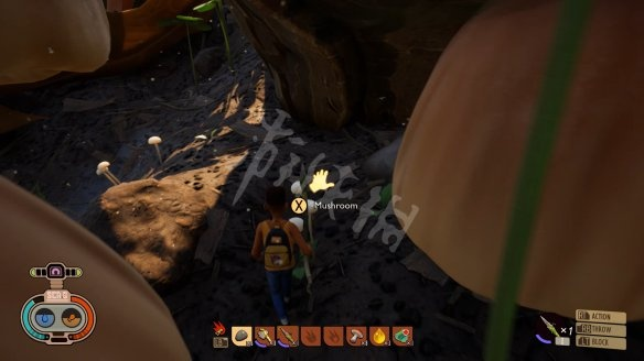 禁闭求生2独家攻略：快速制作瓢虫面甲，新手必看技巧！