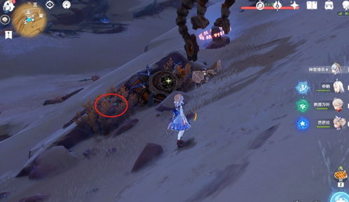 原神挪德卡莱摩拉箱位置揭秘！全收集攻略必看