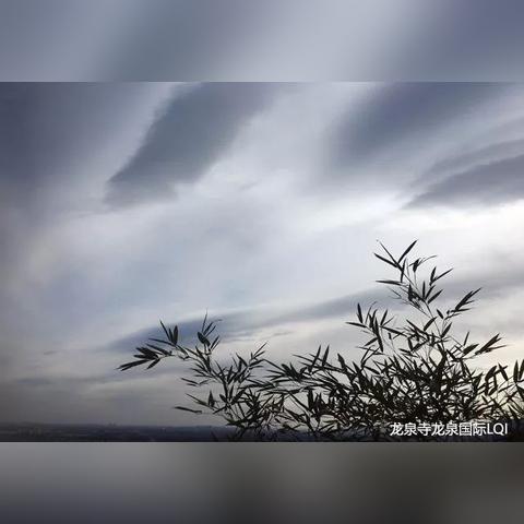 金刚狼首秀惊艳！9月State of Play独家实机演示震撼来袭