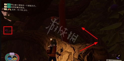 禁闭求生2蜜蜂套装配方揭秘：打造最强护甲攻略指南