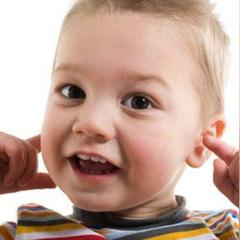 黄金虫引200万玩家热议！专家揭秘：神秘反射现象成焦点