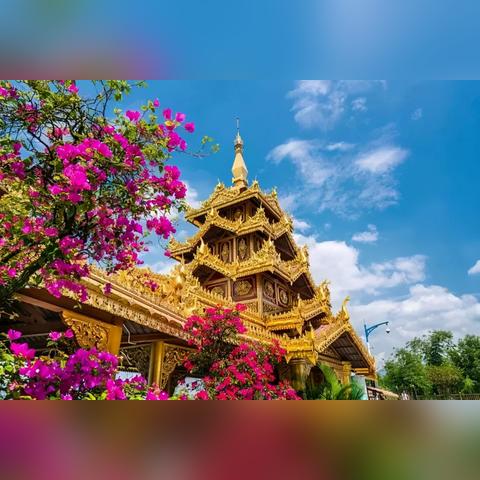 《街头篮球》宝藏直播月来袭！百万道具扶持，等你来战！