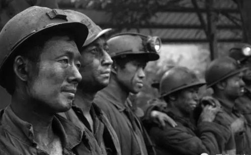 力挺西贝遭恶意攻击，坚守正义不容妥协