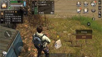 《无主之地4》卡卡迪亚焚毁区寻宝秘籍：快速找到丢失补给舱攻略！