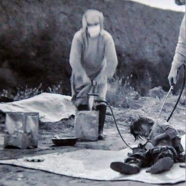 《731》游戏热议不断，玩家热议真实性，揭秘历史真相新视角