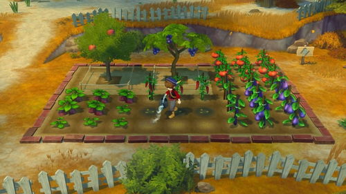 牧场存档攻略：轻松掌握风之繁华集市存档秘籍