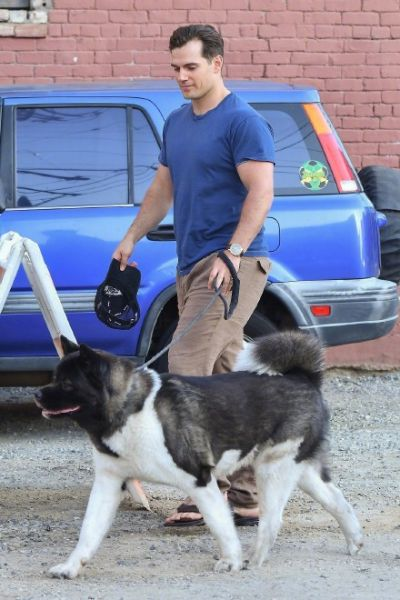 亨利卡维尔伤愈首亮相：乐观心态看书逗狗，展现超凡魅力