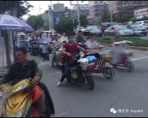 逆行蛇舞惊魂路，老头乐引众车避让