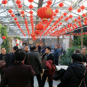 66岁奶奶惊艳环球小姐舞台，高跟鞋自信演绎人生新篇章