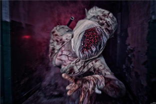 《剑星》×《寂静岭f》跨界联动，新服装盛宴来袭，独家揭秘！