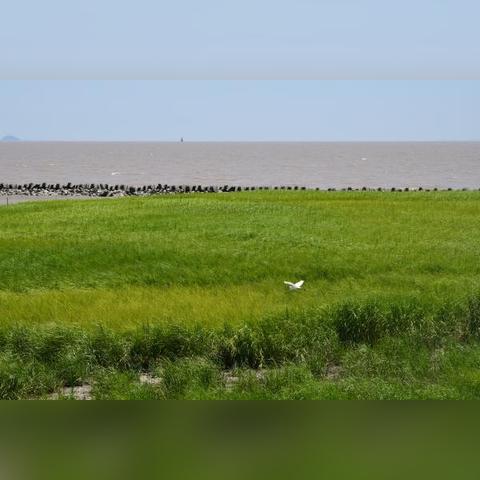 《地平线》新篇章！Xbox独家首曝，沉浸式冒险即将开启