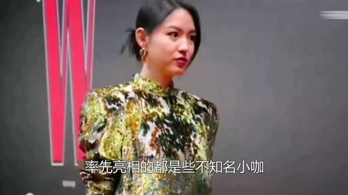 甄子丹揭秘辛芷蕾成功之道：独立实力成就星光璀璨