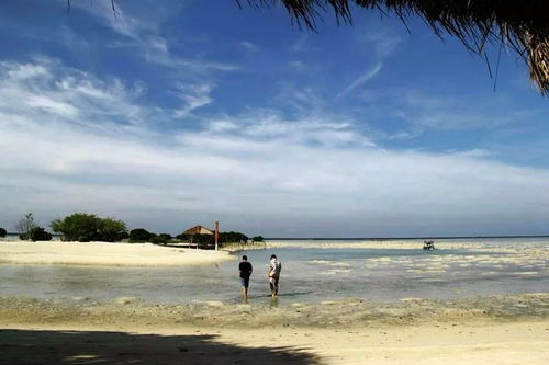 《OD》预告来袭！小岛工作室经典回归，PT精神再续传奇！