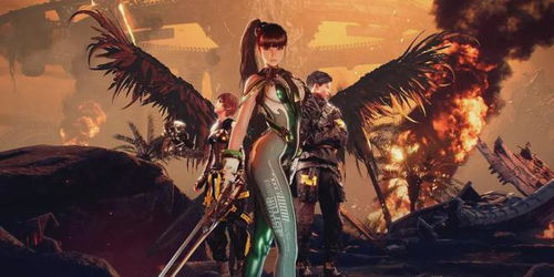 剑星金亨泰大揭秘：全新惊喜即将揭晓，不容错过！