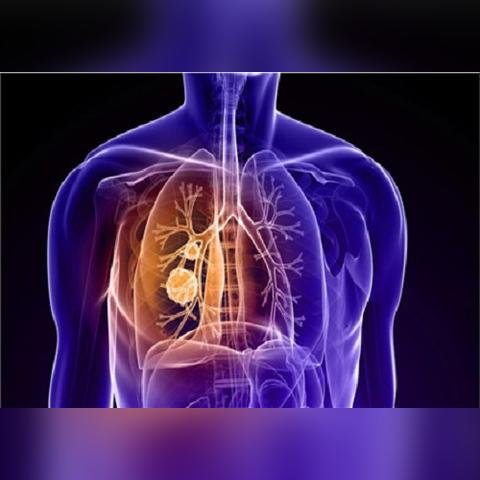 非生物基因兑换码2025最新大全，解锁隐藏福利攻略揭秘