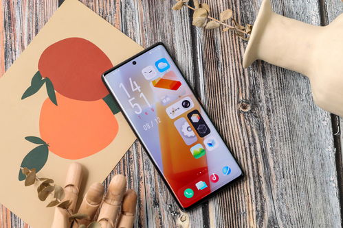 小米17 Pro背屏造价10亿震撼业界！卢伟冰：友商挑战极限