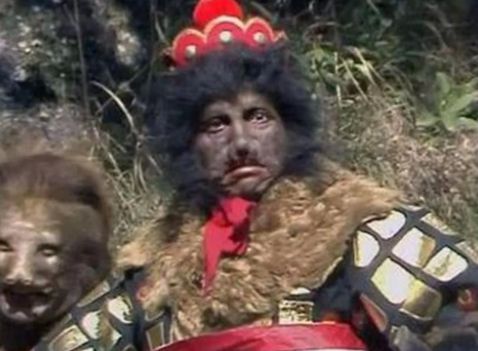 黑熊披袈裟仿人秀：揭秘真熊拟人化表演新体验