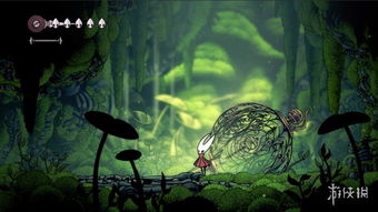 空洞骑士攻略：丝之歌磁石胸针获取技巧与位置详解