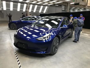 特斯拉47万巨款购车惊变：全损车赔款翻三倍，车主维权大胜！