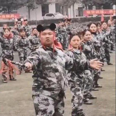 《雷》游戏独家攻略：色彩斑斓囧图，健康玩法让你回味无穷